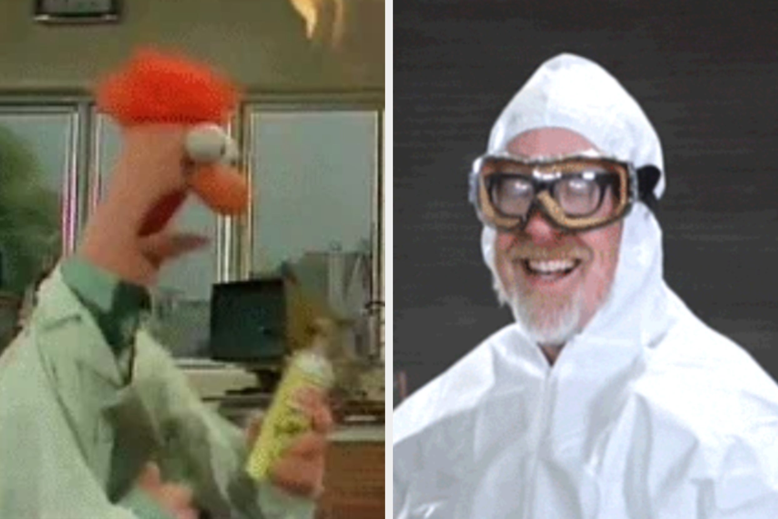 Your Vocabulary Is Officially In The 90th Percentile If You Know What These Biology Words Mean