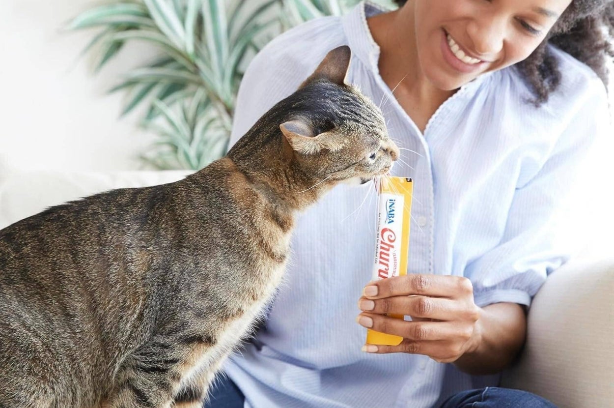 My Picky Cats Are Obsessed With These Squeezable Treats — A Vet Explains The Hype