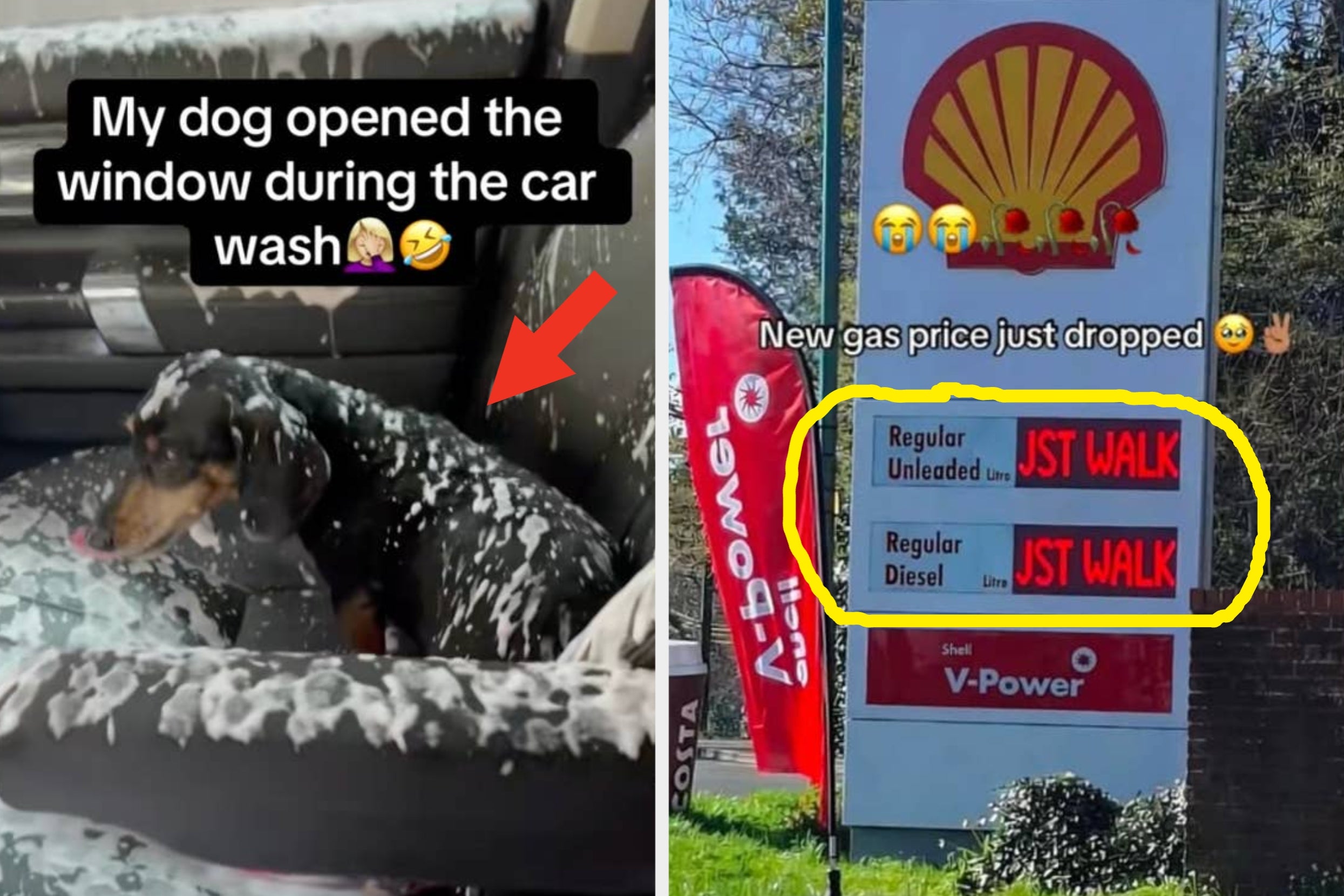 30 Jaw-Droppingly Dumb Pictures Captured At The LAST Possible Second That Get Funnier And Funnier No Matter How Many Times I’ve Seen Them