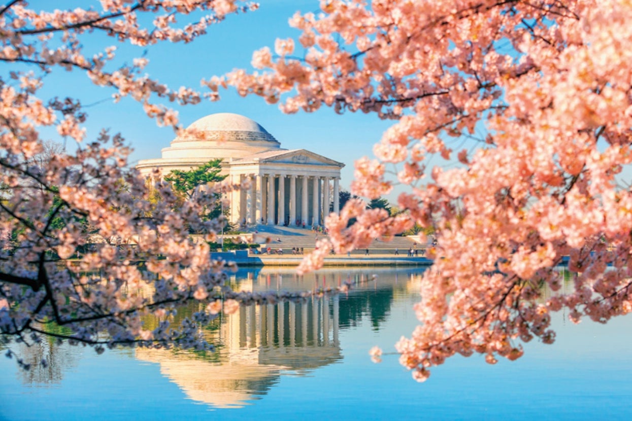 This Quiz Will Reveal The Perfect Spring Adventure For You!