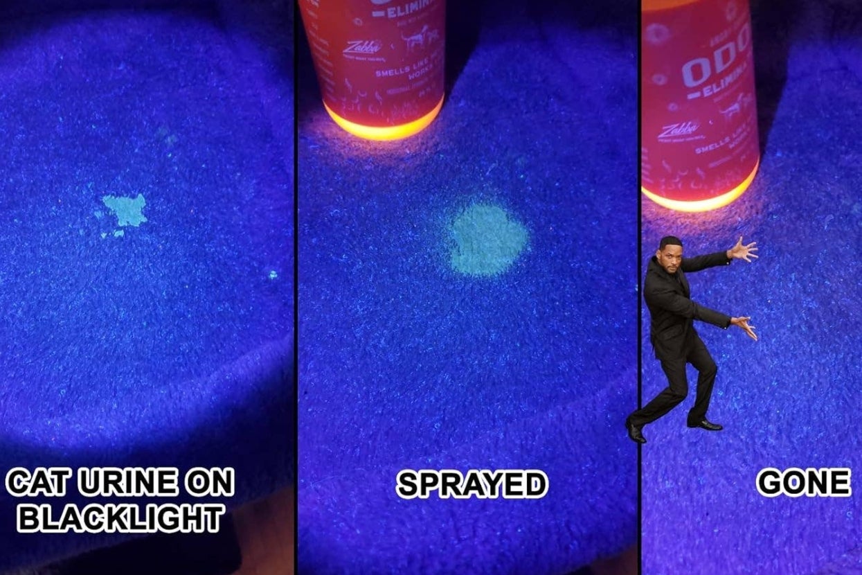 You’re Busy And I’m Not Going To Gatekeep: Put These 38 Cleaning And Organization Products On Your Radar