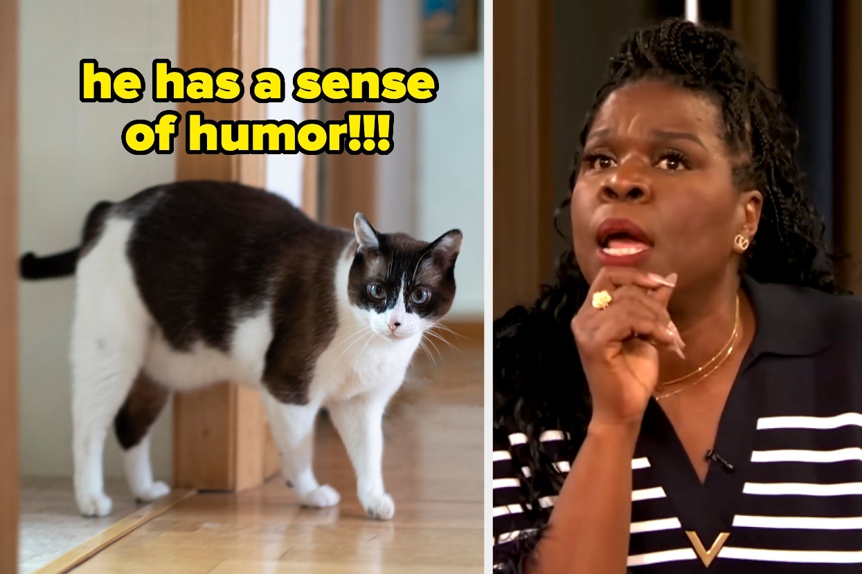 31 Cats And Dogs Who Turned Out To Be Secret Geniuses And Shocked Their Owners