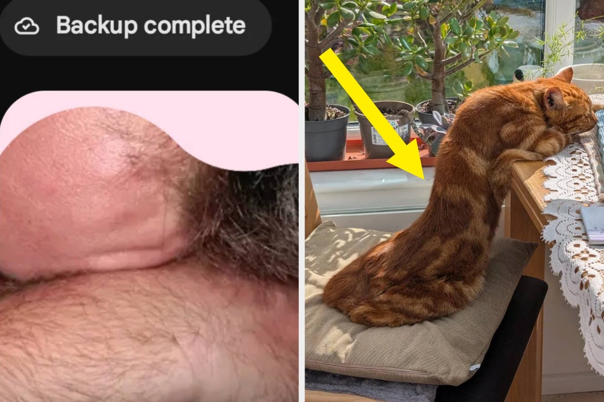 These Wildly Baffling Photos Will Mess With Your Brain’s Prefrontal Cortex