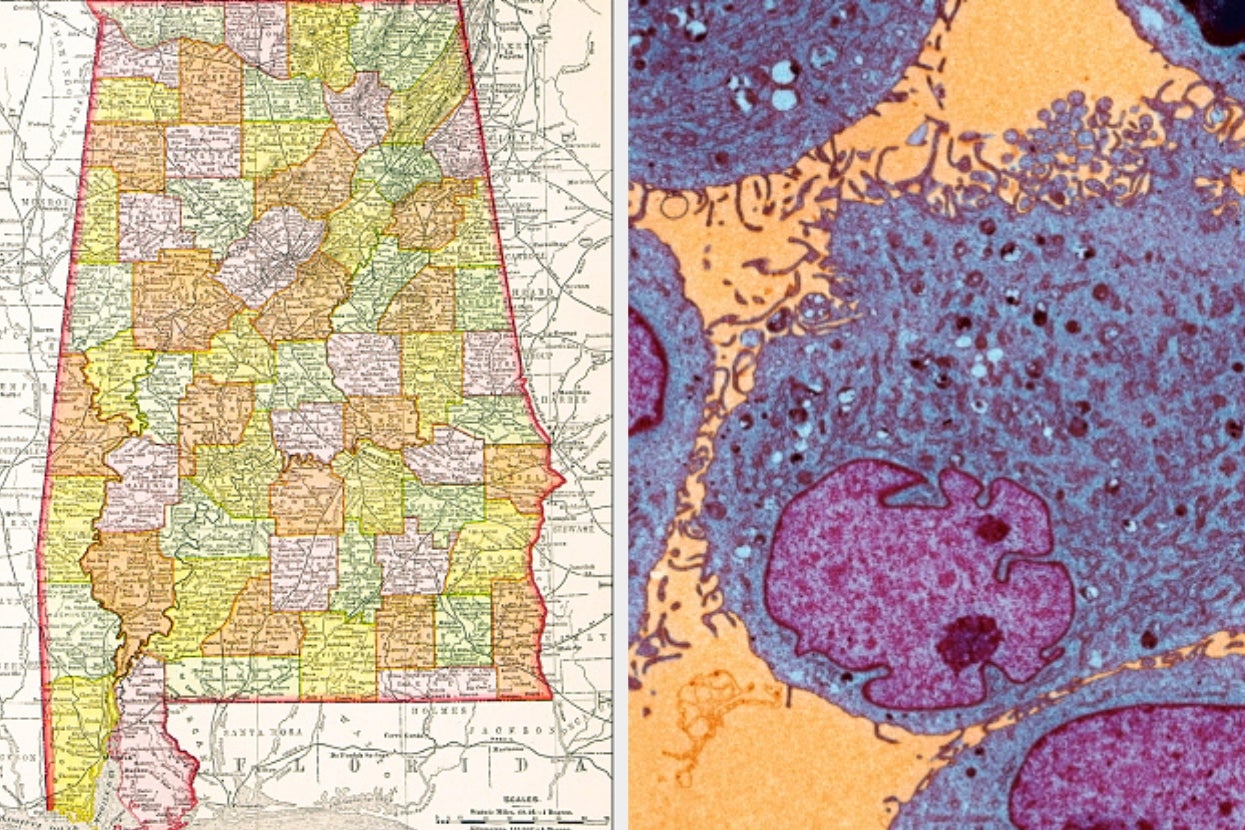 Can You Pass This TOUGH Seventh Grade Test?