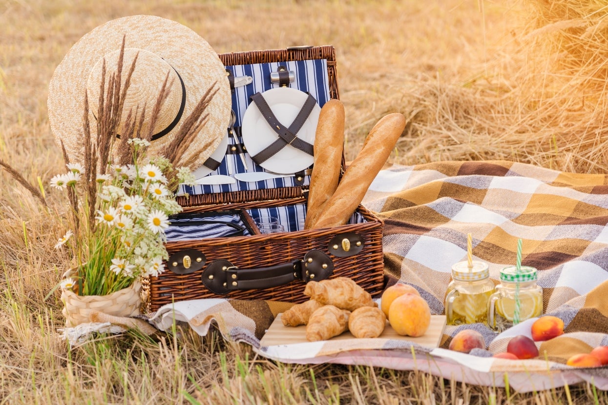 Simple Meadow Or Full-On Hike? Your Picnic Preferences Will Reveal A LOTTTTTTTTT About You