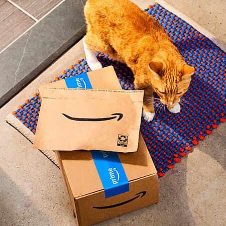 Amazon: Select Citi ThankYou Rewards Cardholders: Redeem $20 in ThankYou Points, earn a $10 Gift Card