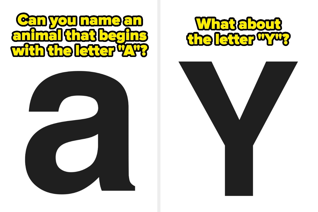 Only People Who Are Weirdly Good At Trivia Can Name An Animal For Every Letter Of The Alphabet
