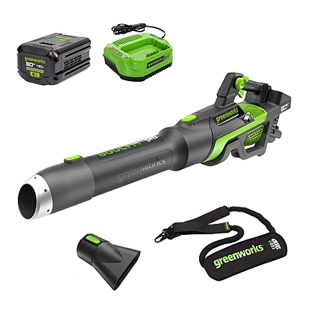 Renewed: Greenworks 80V 800CFM Cordless Leaf Blower w/ 4Ah Battery & Charger $123.25 + Free S&H