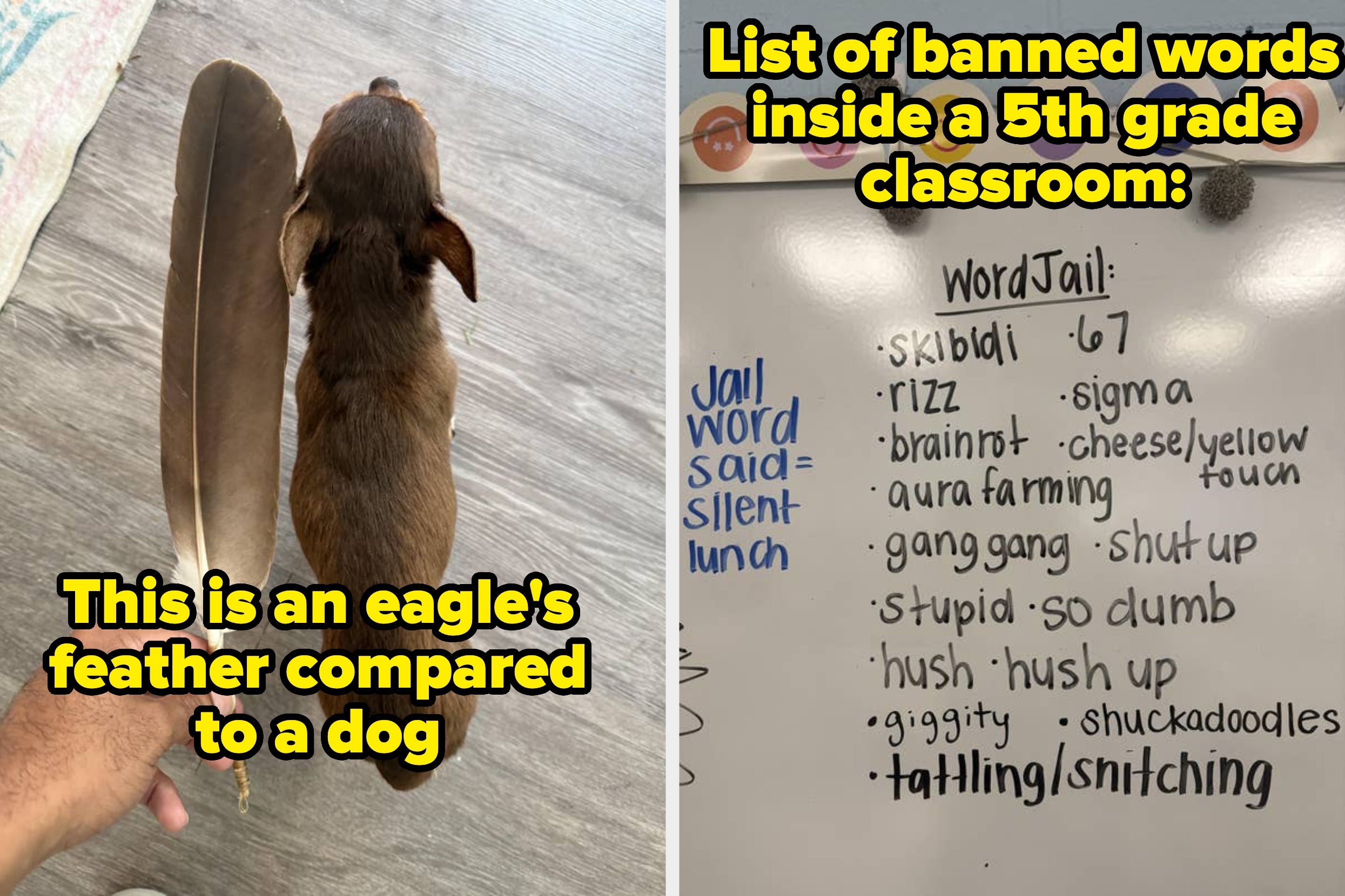 I’m Completely Speechless After Seeing These 35 Absolutely Mind-Blowing Photos That Completely, Totally, And Utterly Shattered My Brain