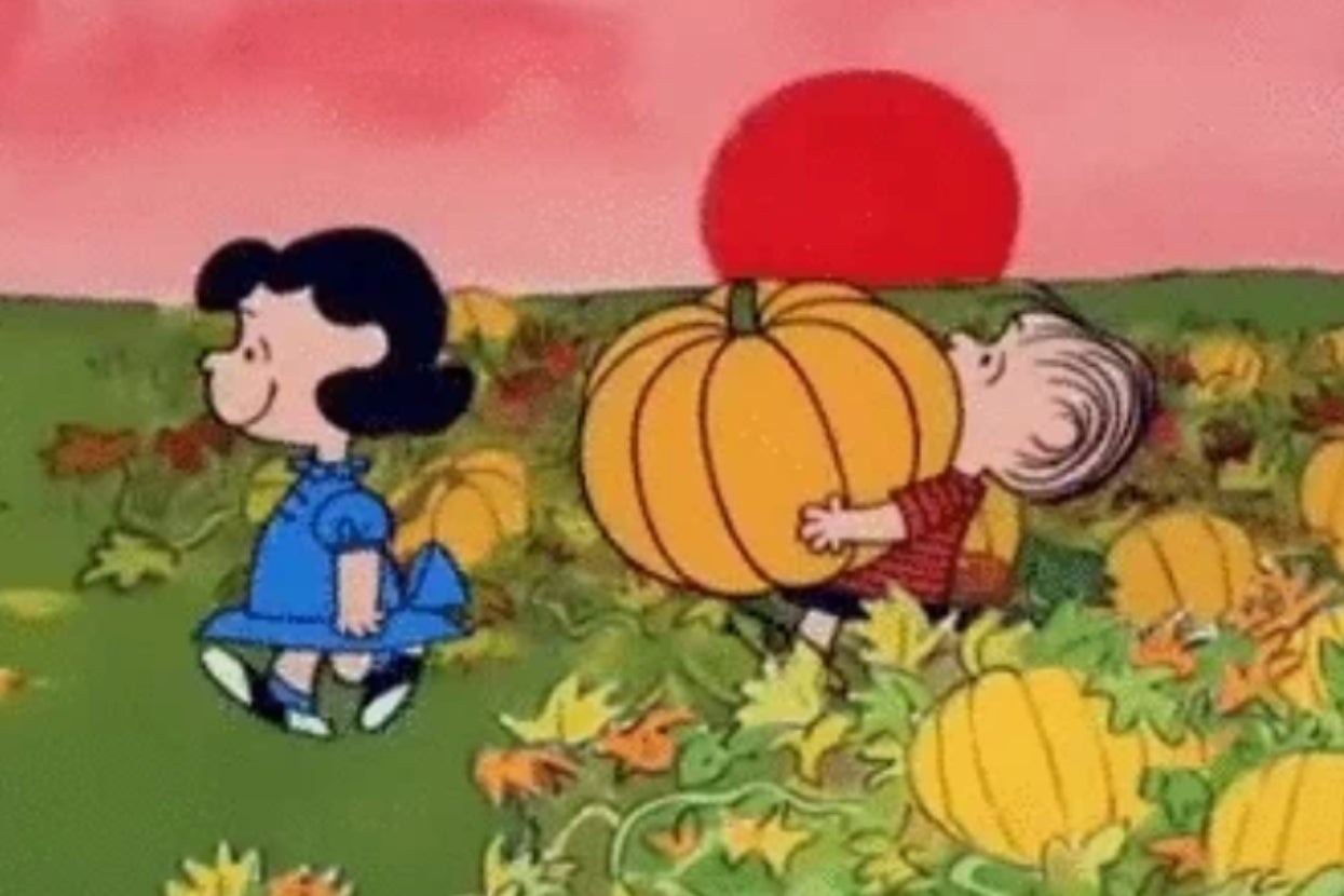 Answer 15 Random Autumn Questions And We’ll Match You With A Fall Drink