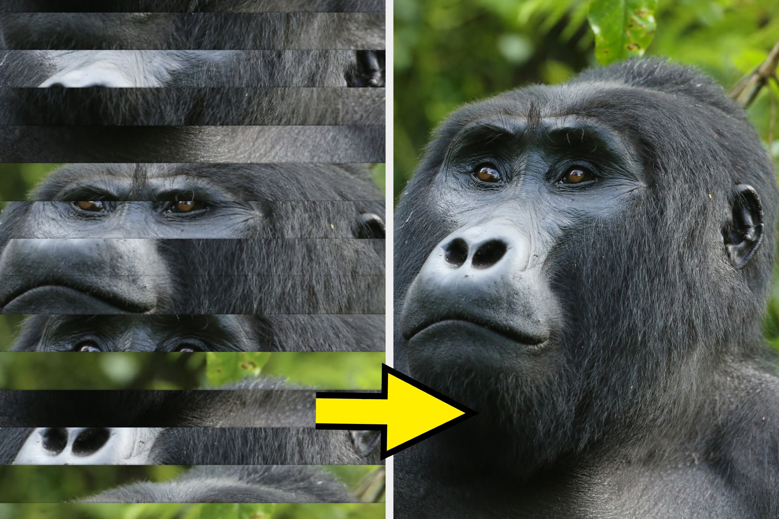 I’ll Be Impressed If You Can Unscramble These Images In 20 Clicks Or Less