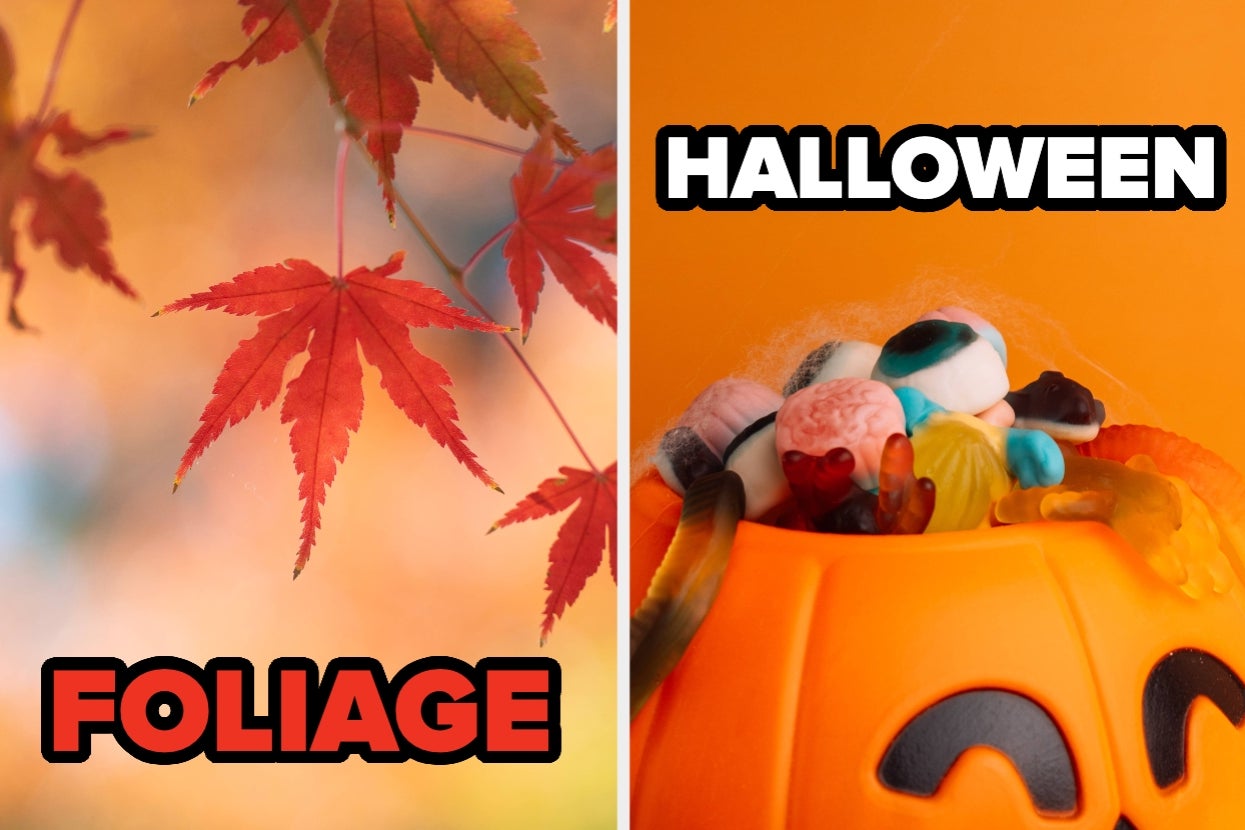 Tell Us Your Fall Preferences And We’ll Accurately Guess What You Love Most About The Season