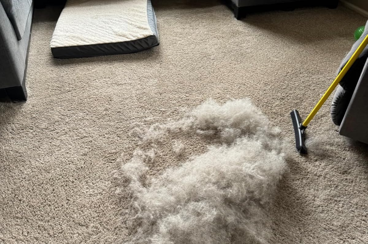 30 Products For Anyone Who Doesn’t Wanna Spend All Day Cleaning