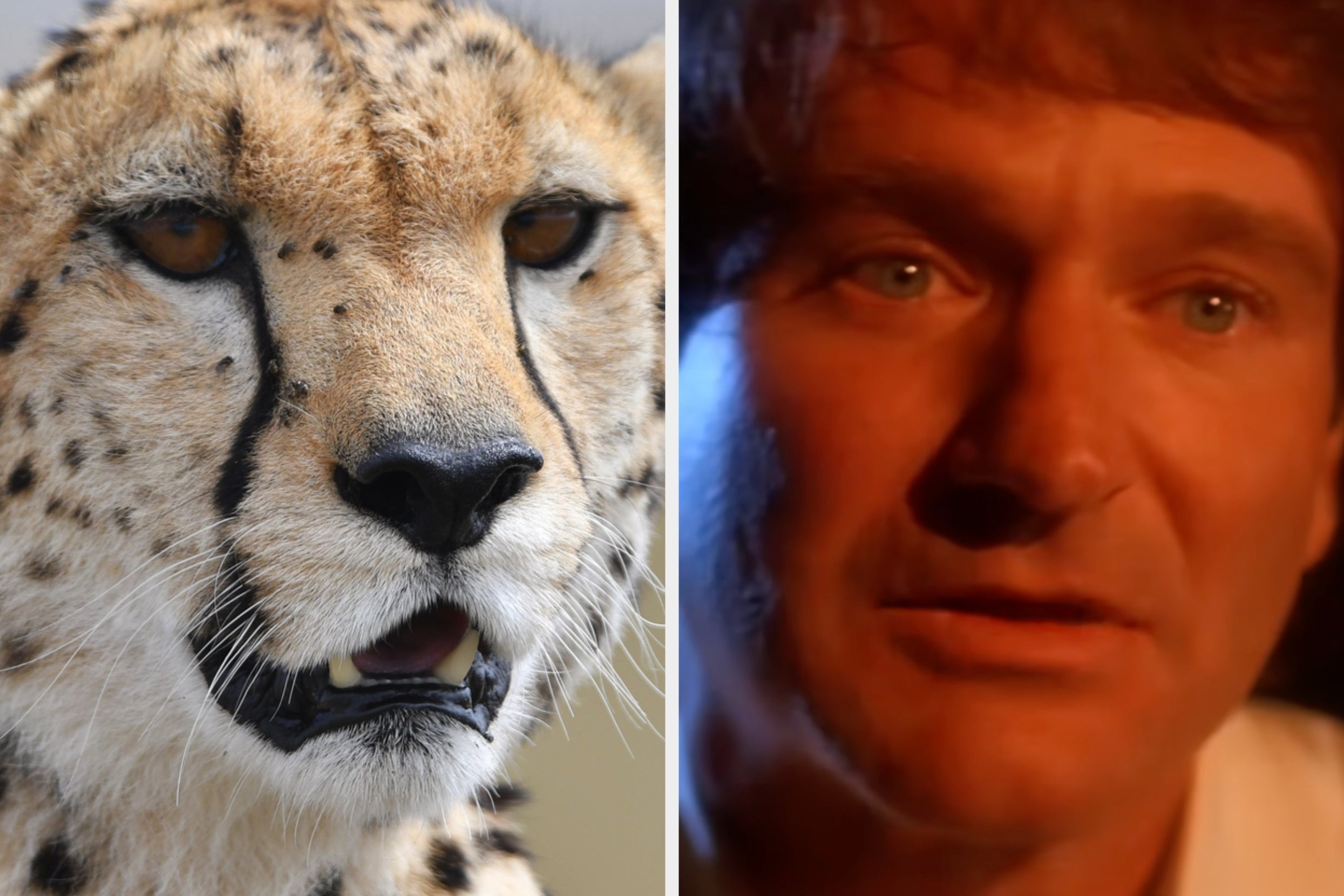 If You Get 30/35 On This General Knowledge Quiz, You Know A Little Bit Of Everything