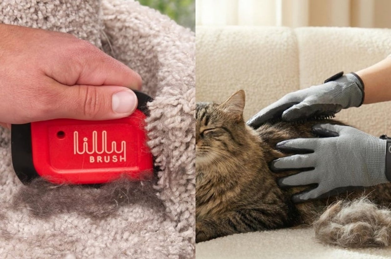 12 Reviewer-Approved Tools That Actually Remove Pet Hair From Your Stuff