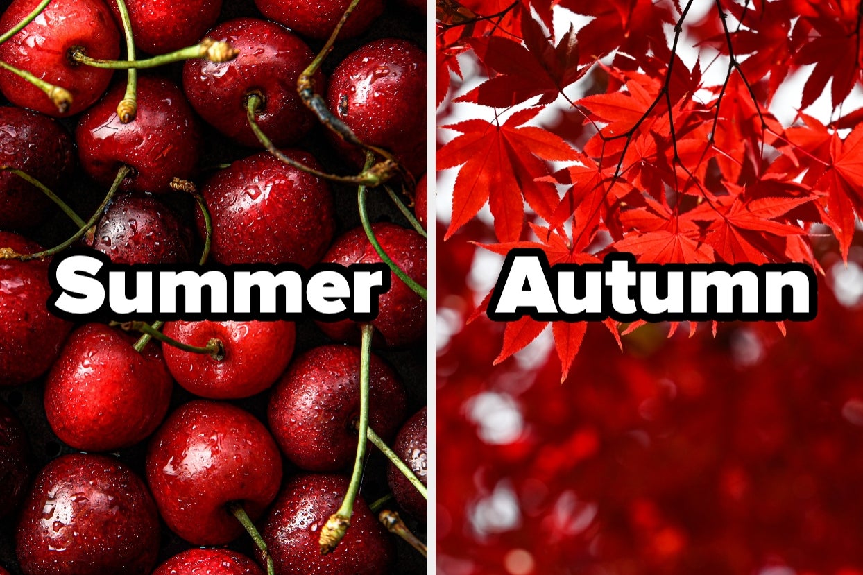 Choose Something Random For Every Color Of The Rainbow And I’ll Guess Your Favorite Season