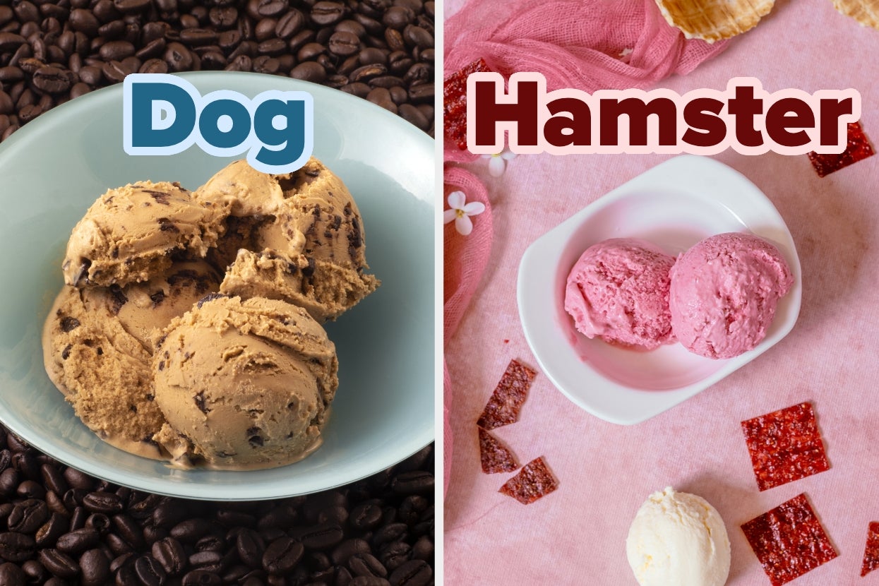 I’m Absolutely Certain That The Ice Cream Flavors You Pick Will Predict Which Type Of Pet You Have — Just Watch