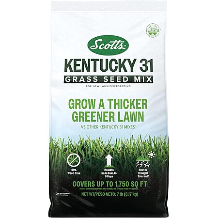 7-lb Scotts Kentucky 31 Grass Seed Mix $15