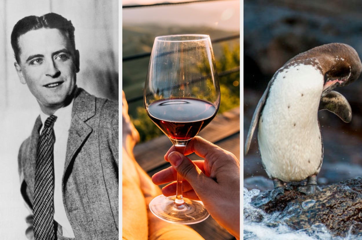 You’re A Genius If You Know The Answer To These Utterly Random General Knowledge Questions