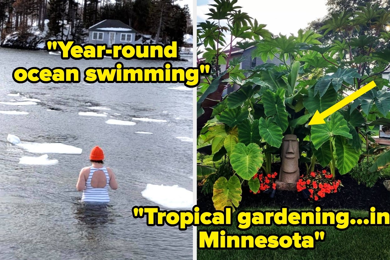 People In Their 30s Are Sharing The Unexpected Hobbies They’re Now Completely Obsessed With