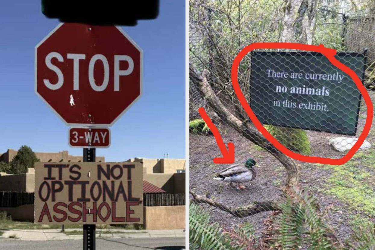 “Show Me Your Kitties”: Life Is A Mess Right Now, But These 16 Funny Signs We Found This Week Capture It So Perfectly It Hurts