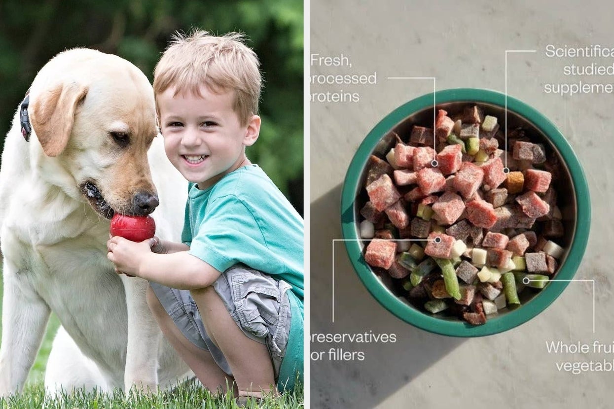 The Bottom Line Is These 27 Chewy Products Will Make Your Life As A Pet Parent A Bit Better