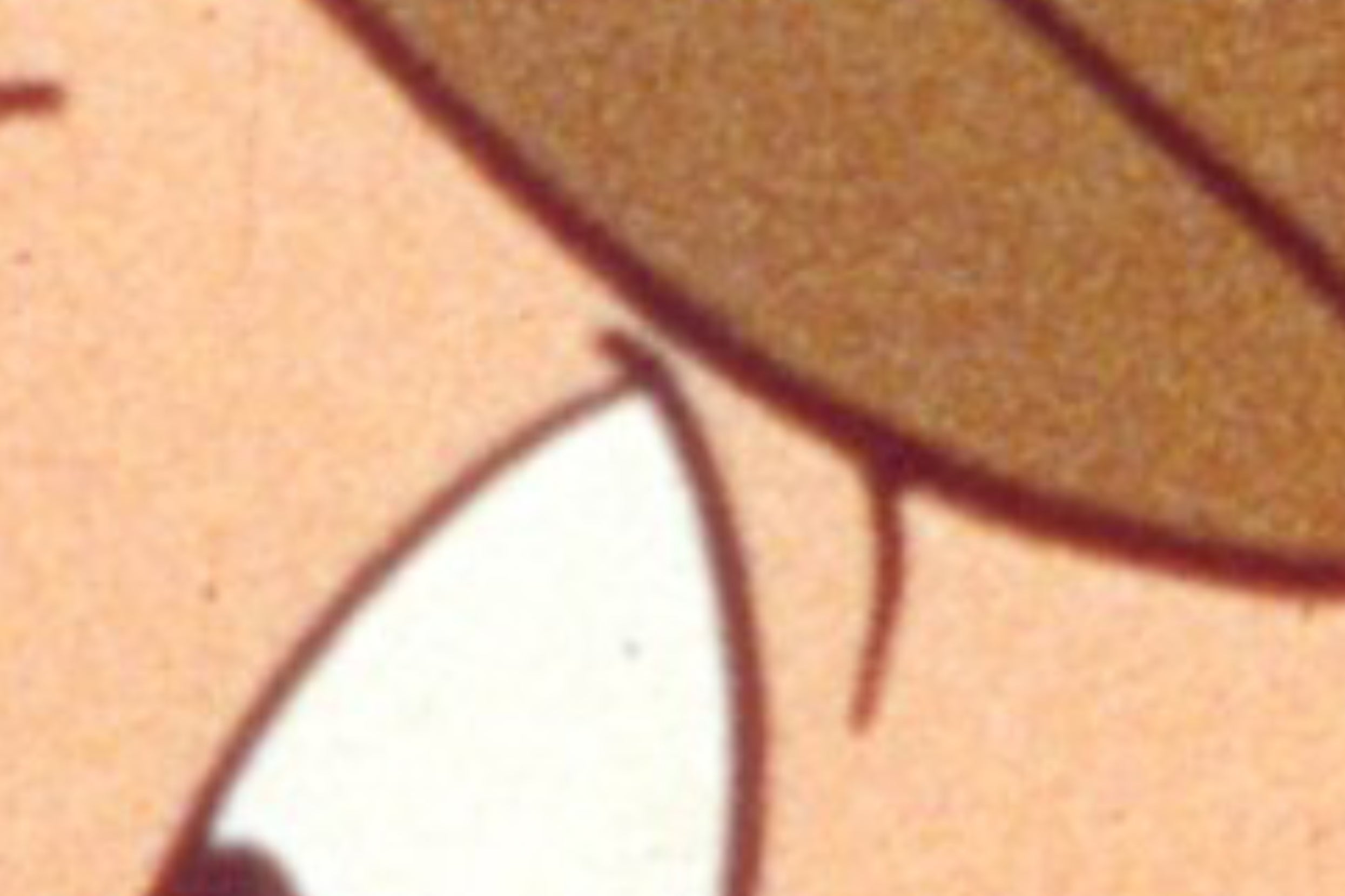 If You Can Name These “Looney Tunes” Characters By A Super Zoomed-In Photo, Your Visual Memory Is Amazing