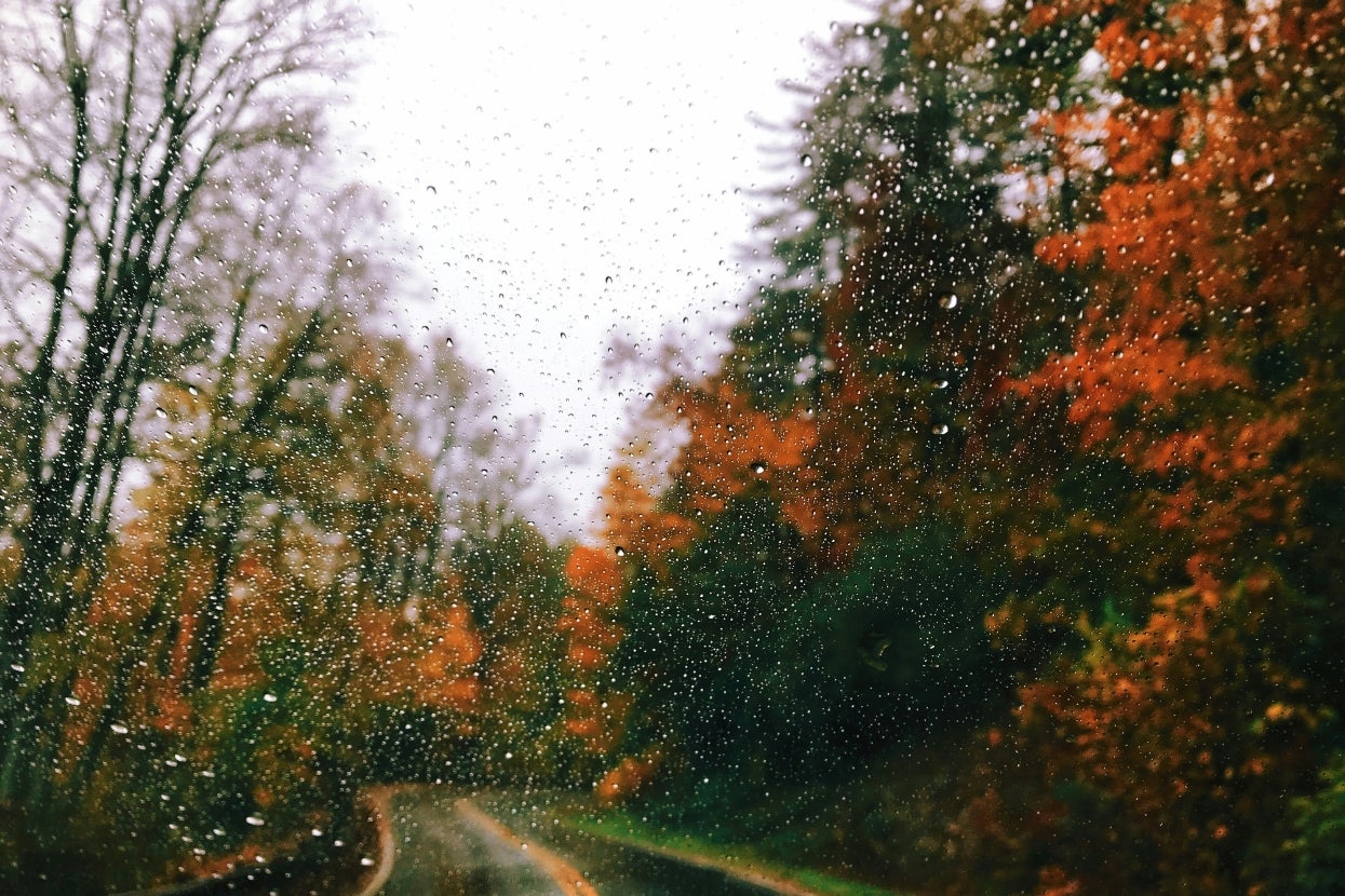 How Much “Rainy Autumn Day” Is In Your DNA?
